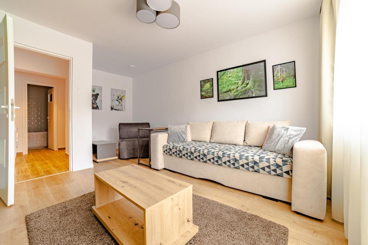 Mid-Term Rental Racadau Apartment 브라쇼브 외부 사진