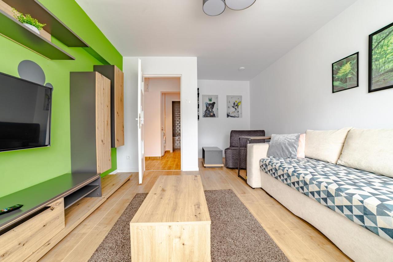 Mid-Term Rental Racadau Apartment 브라쇼브 외부 사진