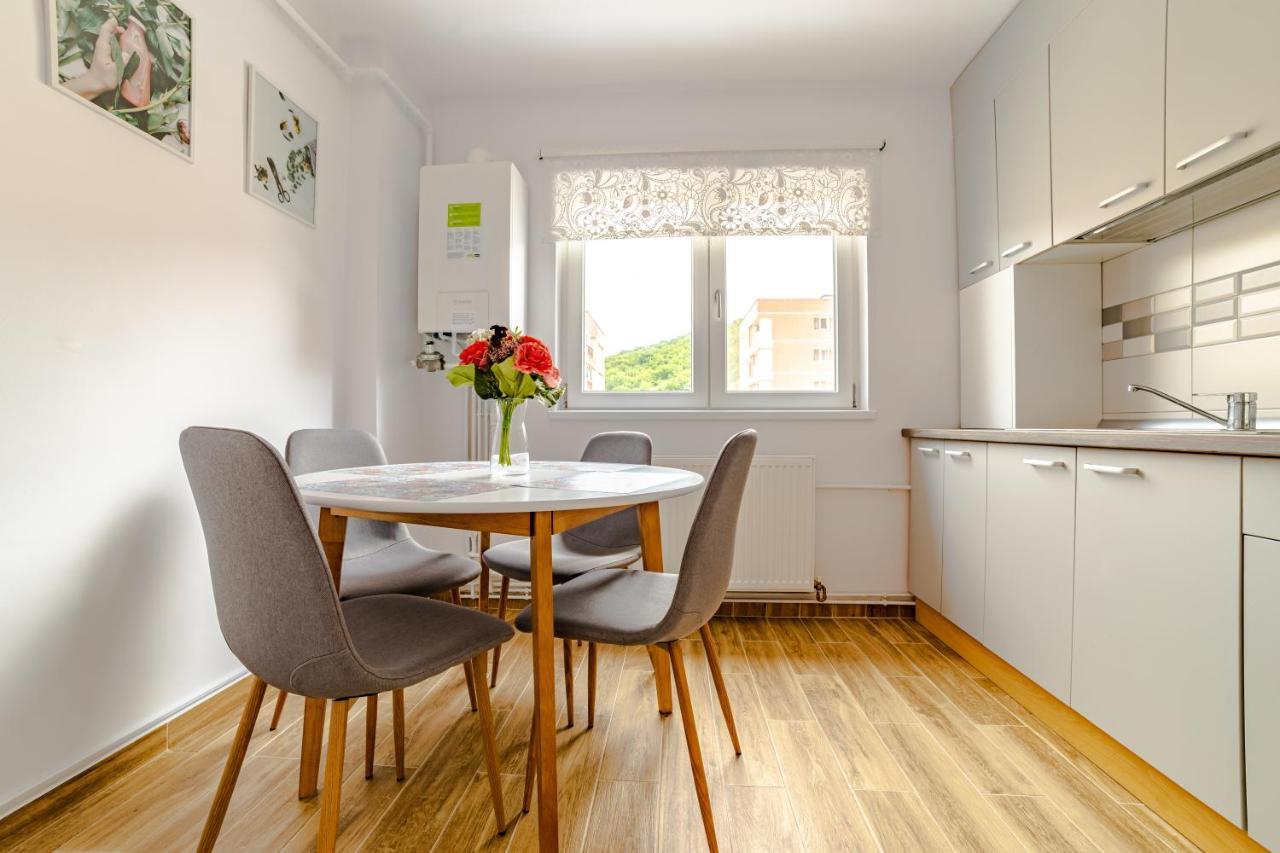 Mid-Term Rental Racadau Apartment 브라쇼브 외부 사진