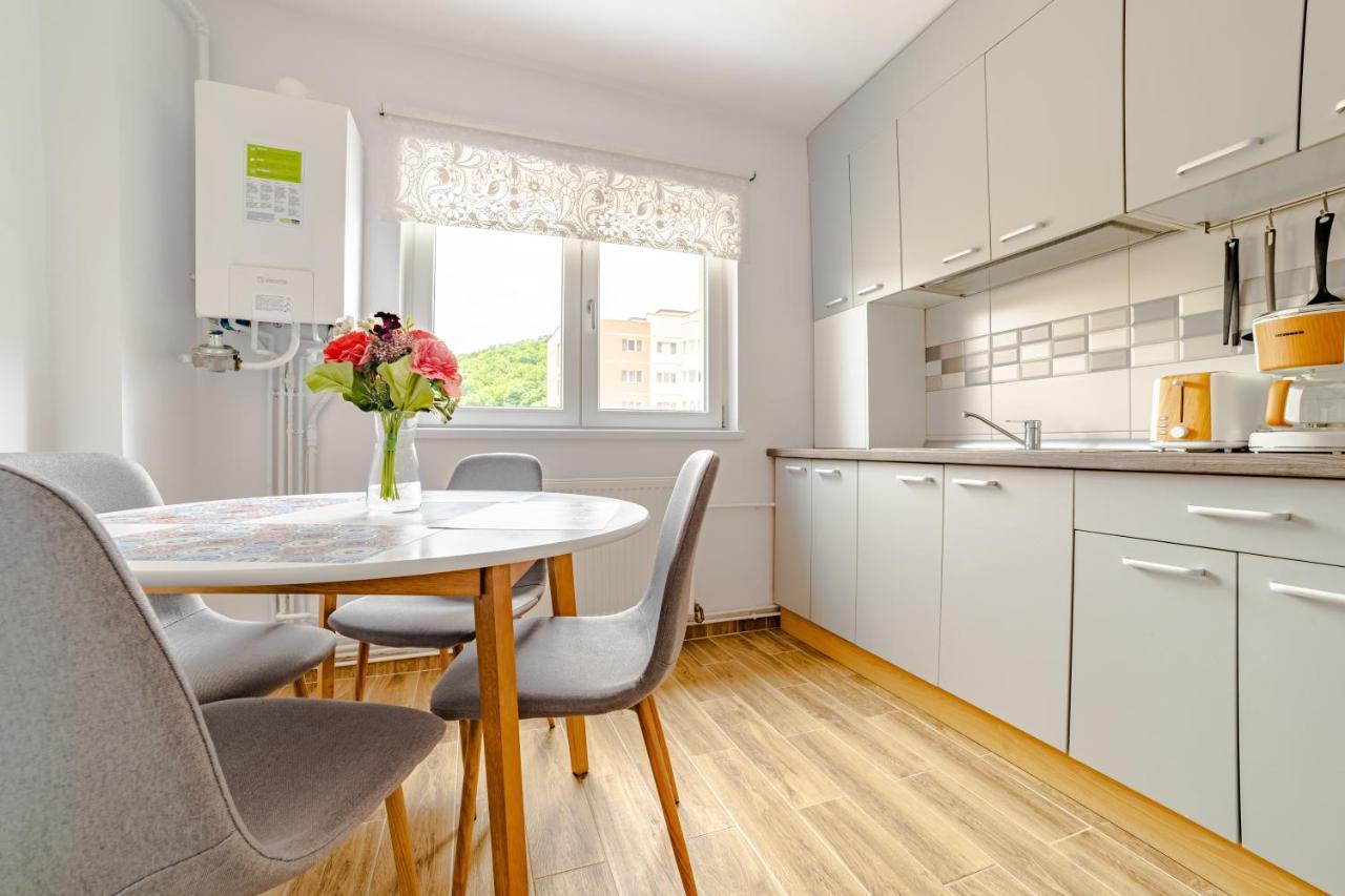 Mid-Term Rental Racadau Apartment 브라쇼브 외부 사진