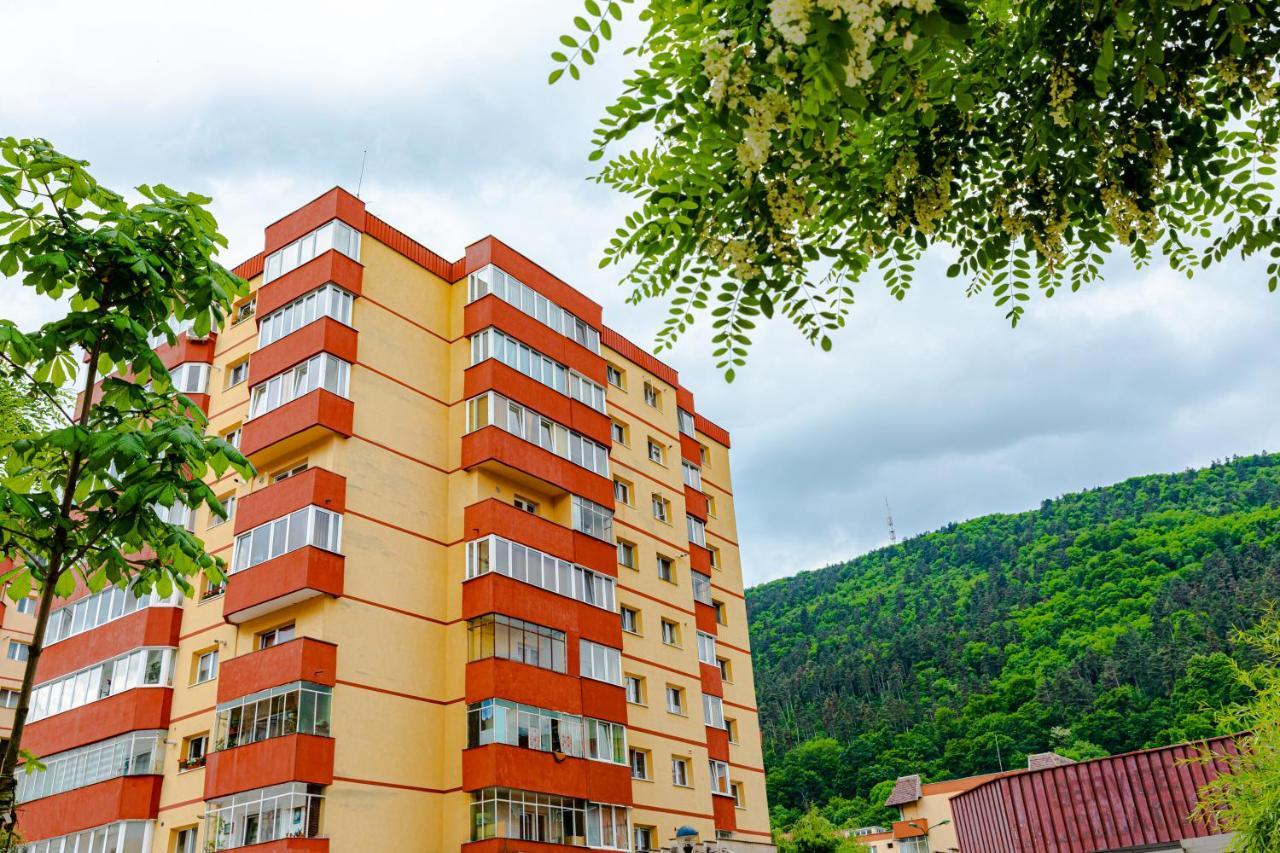 Mid-Term Rental Racadau Apartment 브라쇼브 외부 사진